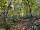 243 Aaron Mountain Road - Photo 45