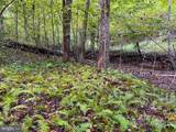 243 Aaron Mountain Road - Photo 47