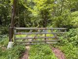 14600 Williams Road - Photo 13