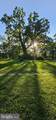 296 Piedmont Lane - Photo 47