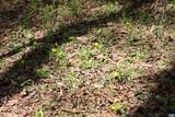 1185 Belle Meade Rd - Photo 34