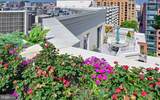 1111 11TH Street - Photo 16
