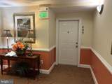 900 Marshy Cove - Photo 29