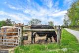 8272 Woodbine Road - Photo 10