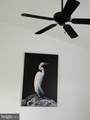1205 Marion Quimby Drive - Photo 26