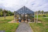 17783 White Campion Way - Photo 43