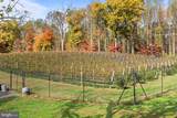 13025 Yates Ford Road - Photo 64