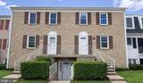14459 Cool Oak Lane - Photo 2