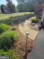 35175 Pheasant Ridge Road - Photo 7