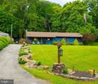 61 Natalie Lane - Photo 1