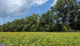 17213 Spates Hill Road - Photo 68