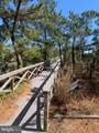 29000 Indian Harbor Drive - Photo 10