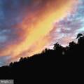  Wes Mountain Trail - Photo 5