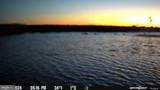 3241 Robbins Road - Photo 41