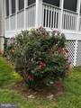 300 Archer Court - Photo 16