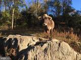 3085 Indian Run Road - Photo 40