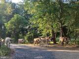 3085 Indian Run Road - Photo 42