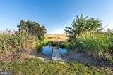 14 Hammock Pointe - Photo 4