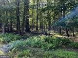 112 Spruce Court Lot 244 - Photo 4