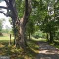  Wes Mountain Trail - Photo 10