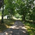  Wes Mountain Trail - Photo 11