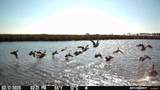 3241 Robbins Road - Photo 11