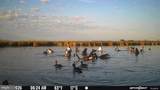 3241 Robbins Road - Photo 6