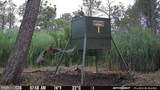 3241 Robbins Road - Photo 7