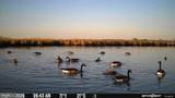 3241 Robbins Road - Photo 8