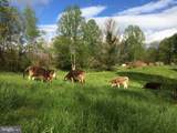 3085 Indian Run Road - Photo 33