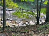  Abrams Creek - Oakmont, Wv - Photo 2