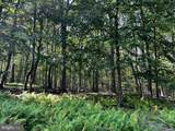 112 Spruce Court Lot 244 - Photo 5