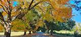 10770 Rich Neck Road - Photo 80