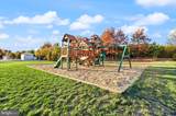 42222 Cameron Parish Drive - Photo 47