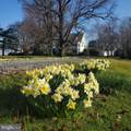 10770 Rich Neck Road - Photo 75