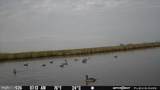 3241 Robbins Road - Photo 1