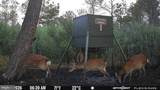 3241 Robbins Road - Photo 2