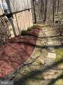 6315 Leafy Screen - Photo 26
