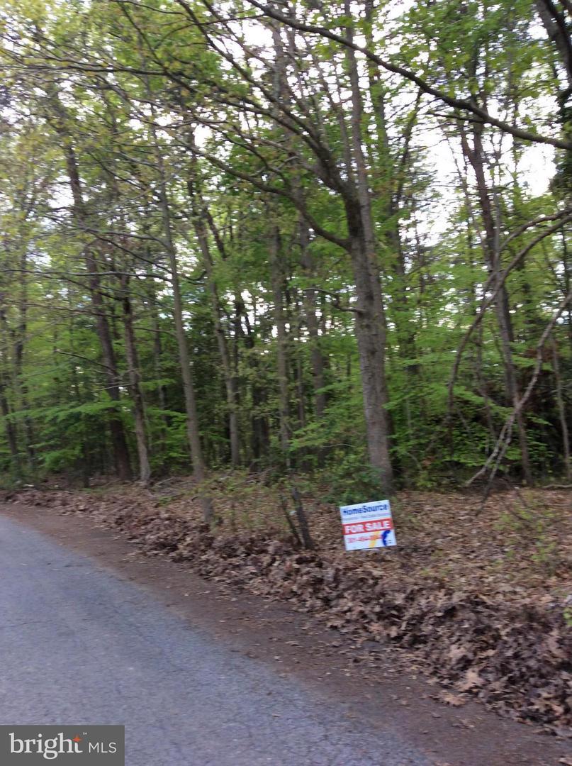11106 Charles Wesley Hall Road - Photo 1