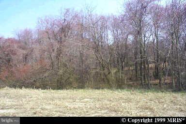 Aquasco Road - Photo 1