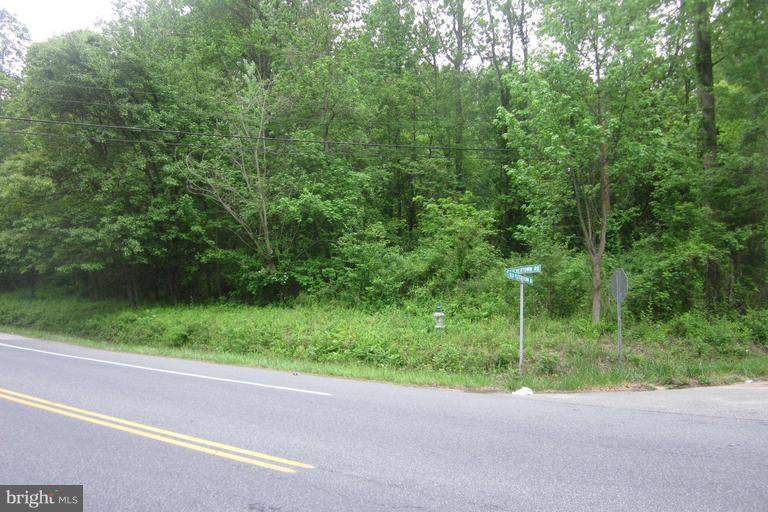 12990 Old Fletchertown Road - Photo 1