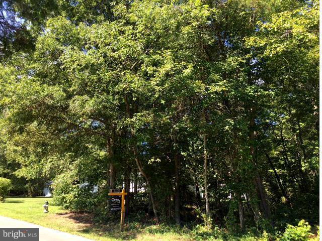 Cherry Tree Crossing Road - Photo 1