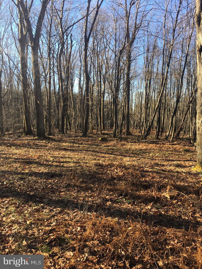 17010 Indian Head Highway - Photo 1