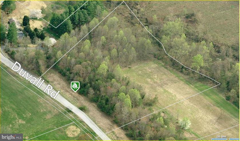Mt Calvert Road - Photo 1