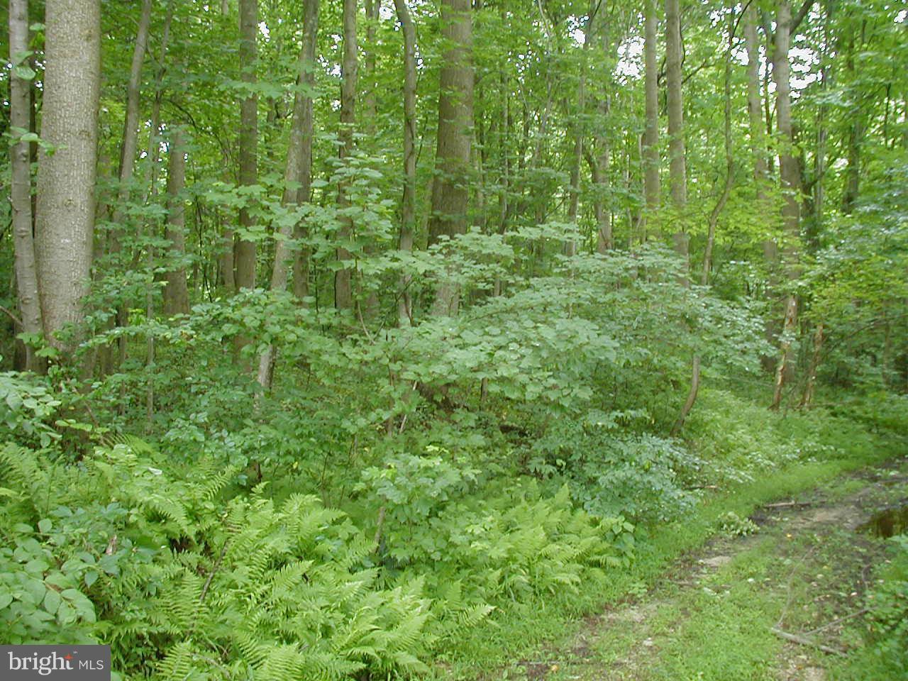 Candy Hill Road - Photo 1