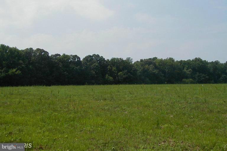 16904 Tanyard Road - Photo 1