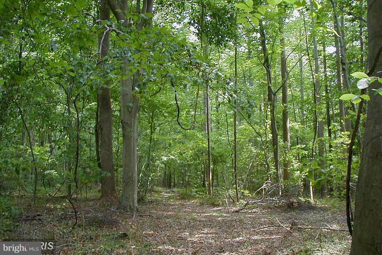 16713 Candy Hill Road - Photo 1