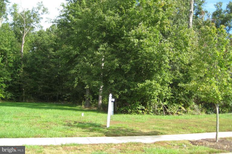 18012 Merino Drive - Photo 1