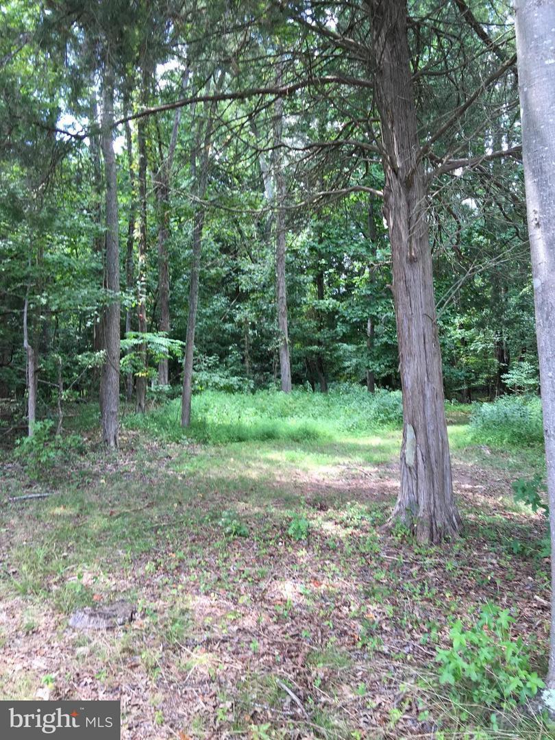 11510 Duckettown Road - Photo 1
