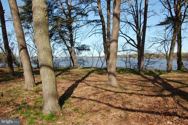 Piney Shore Road - Photo 1